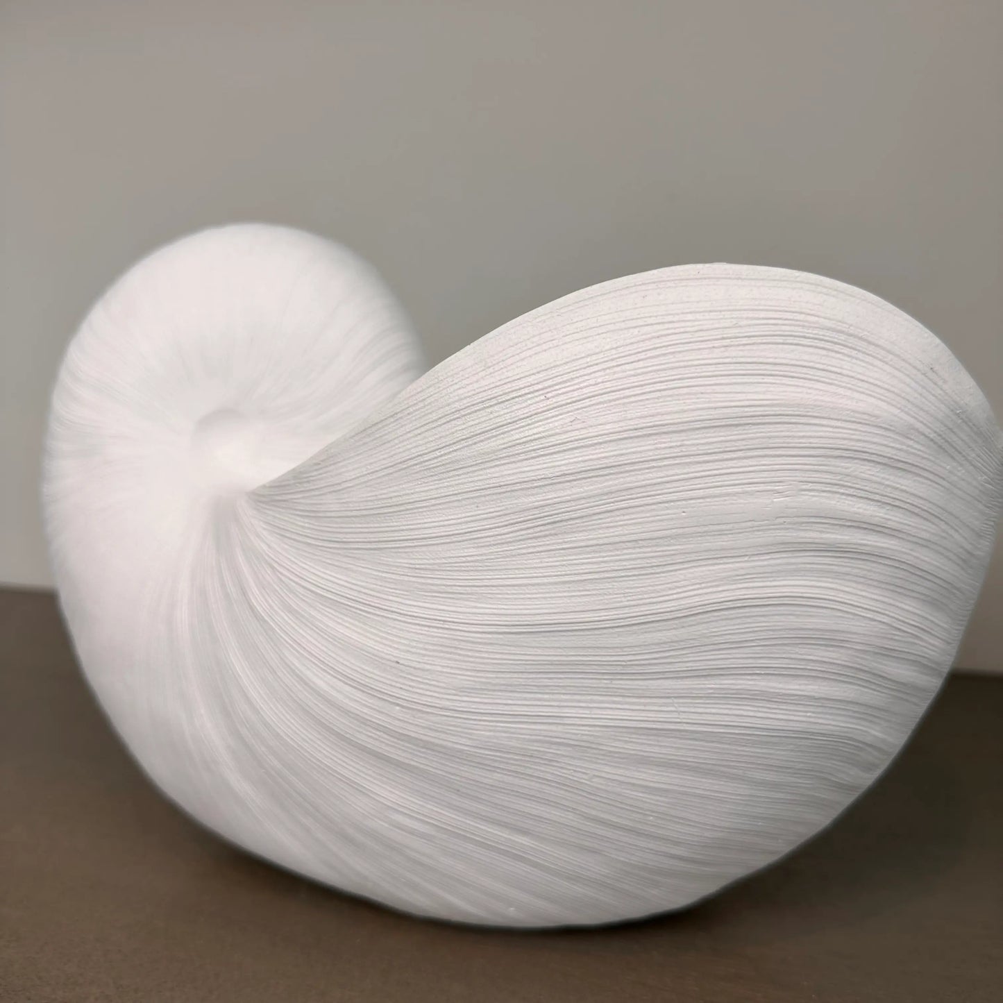 white-nautilus-swirl-shell-bowl-ornament-at-albury-house-interiors