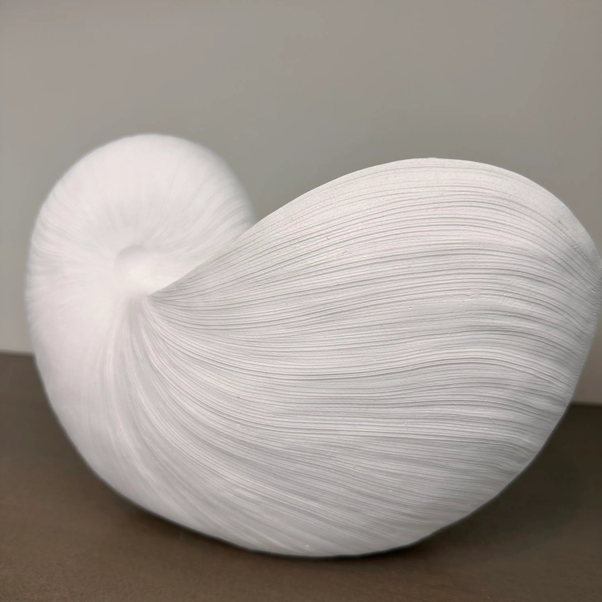 white-nautilus-swirl-shell-bowl-ornament-at-albury-house-interiors