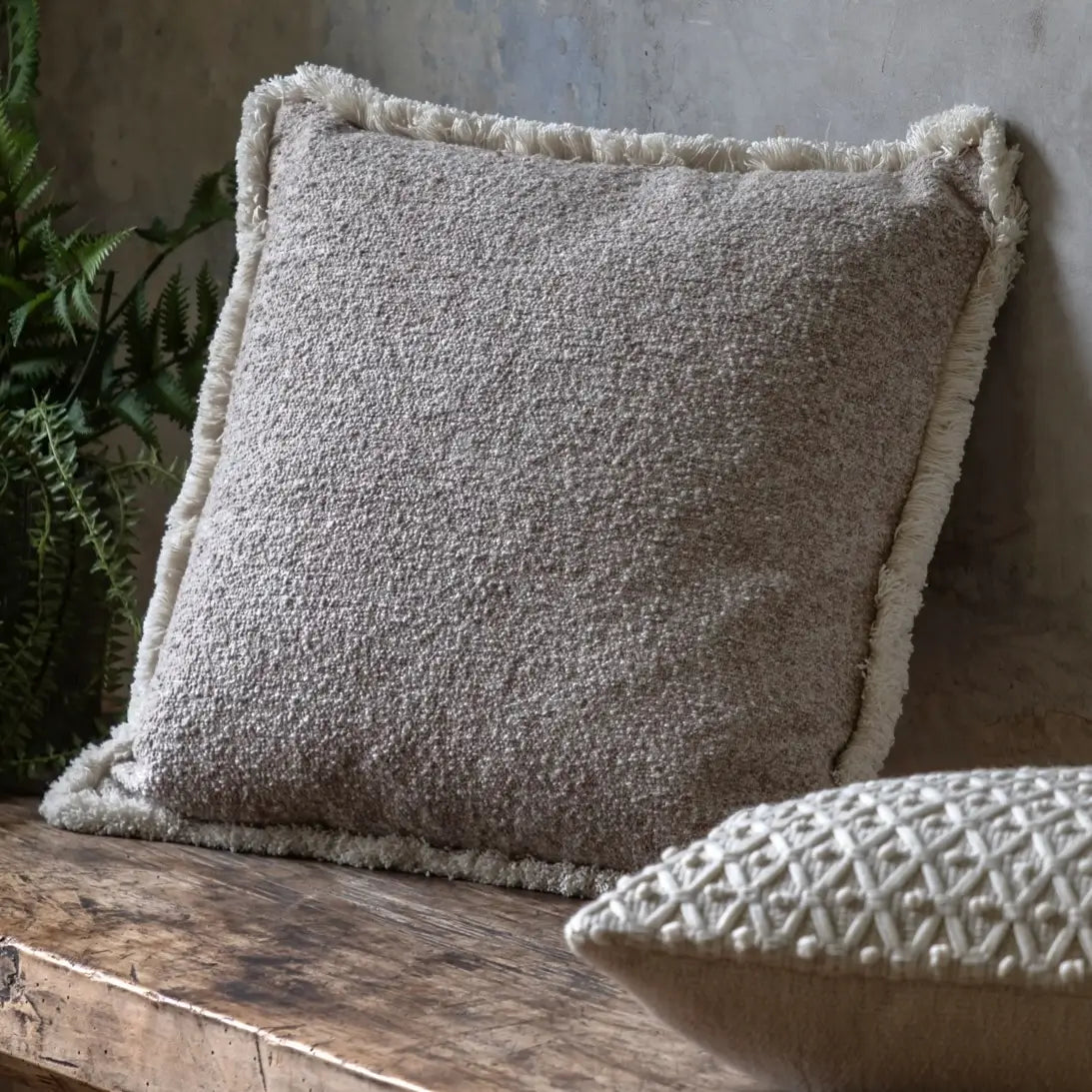 neutral-boucle-cream-edge-fringed-square-cushion-andrew-martin-style-at-albury-house-interiors-essex
