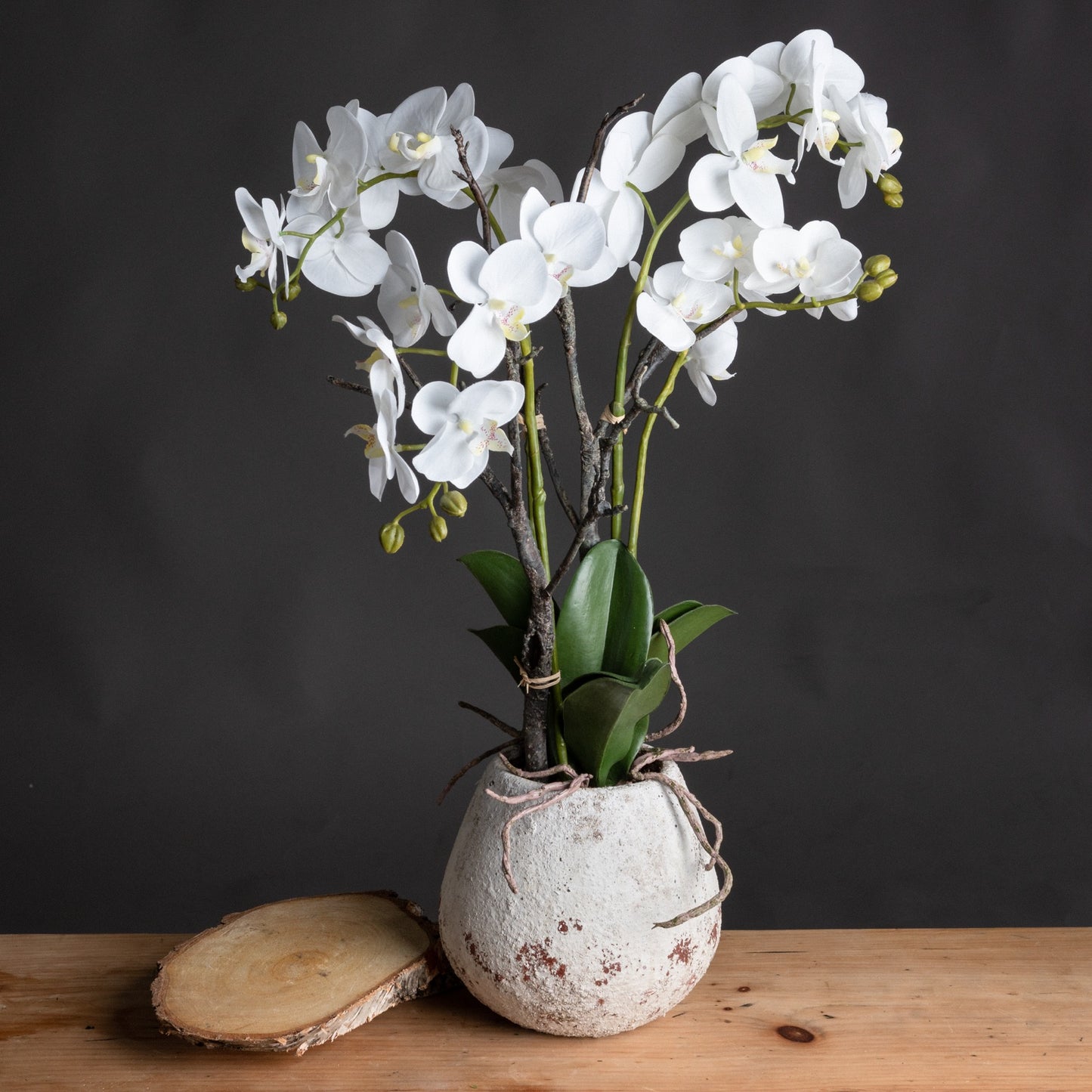 Orchid Antique Stone Pot