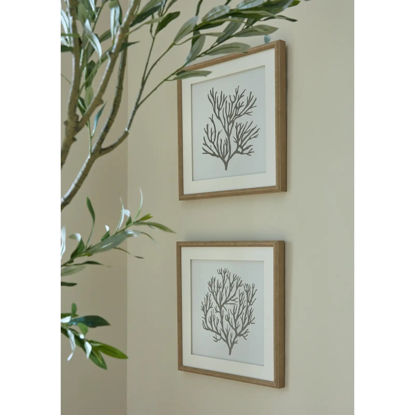 Black and white coral reef artworks with white borders and wooden beaded frames. Available to purchase from Albury House Interiors. 