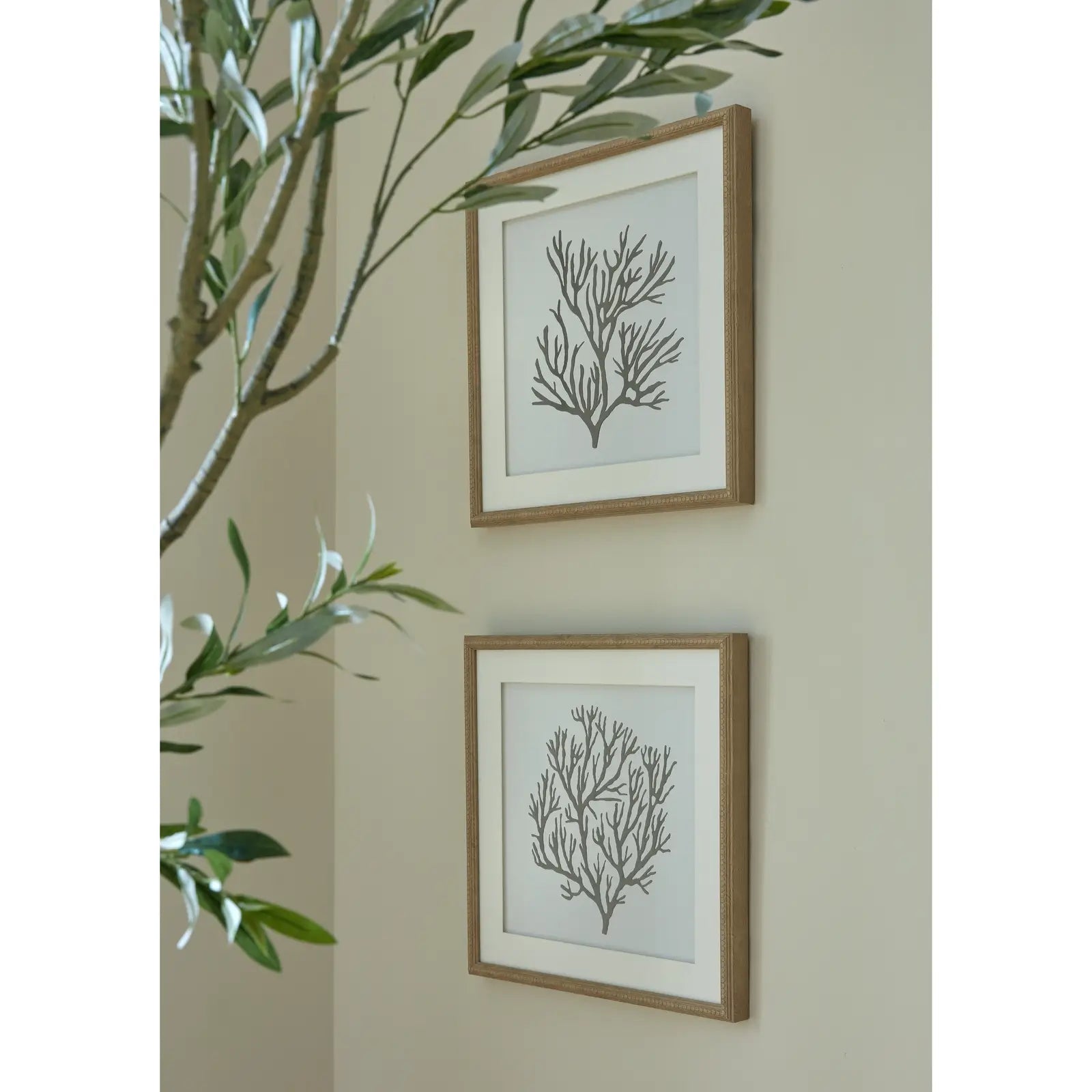 Black and white coral reef artworks with white borders and wooden beaded frames. Available to purchase from Albury House Interiors. 