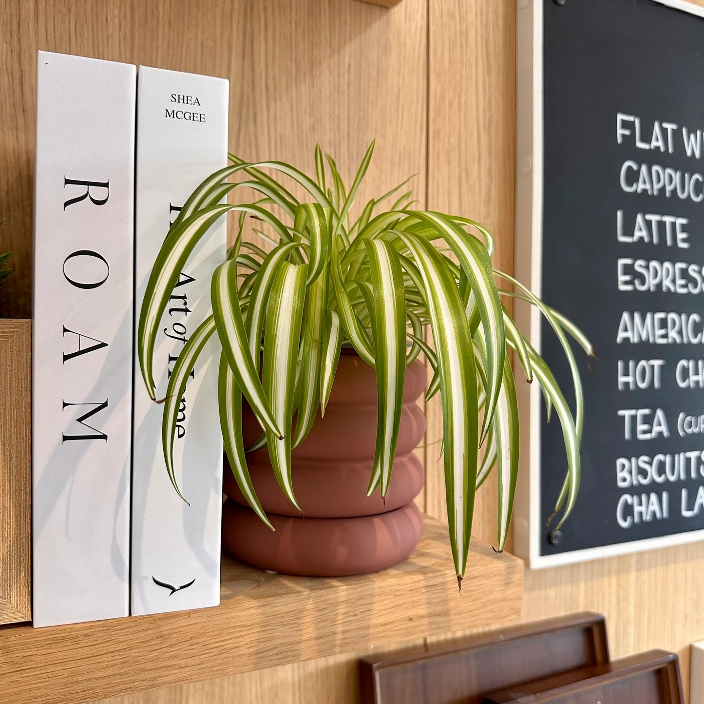 dusky-pink-soft-touch-matte-bubble-retro-plant-pot-with-saucer-at-albury-house-interiors-shop
