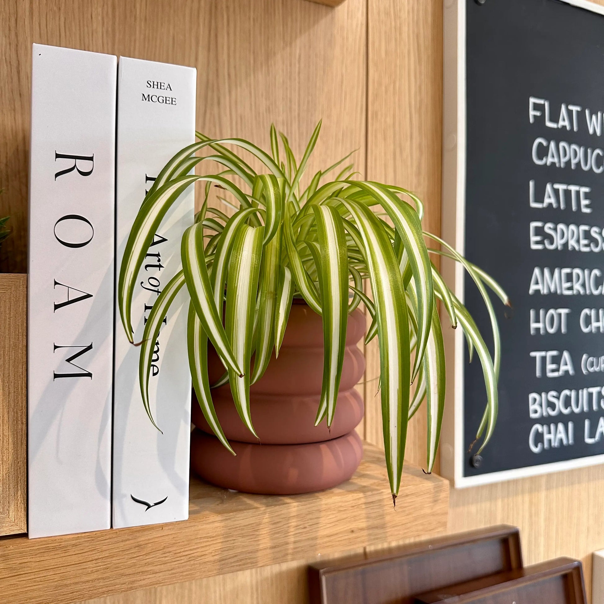 dusky-pink-soft-touch-matte-bubble-retro-plant-pot-with-saucer-at-albury-house-interiors-shop