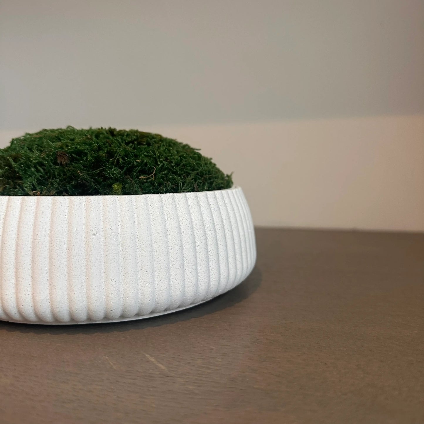 Ribbed white mineral jesmonite stone preserved green moss bowl, used by interior designers, available to purchase at Albury House Interiors.