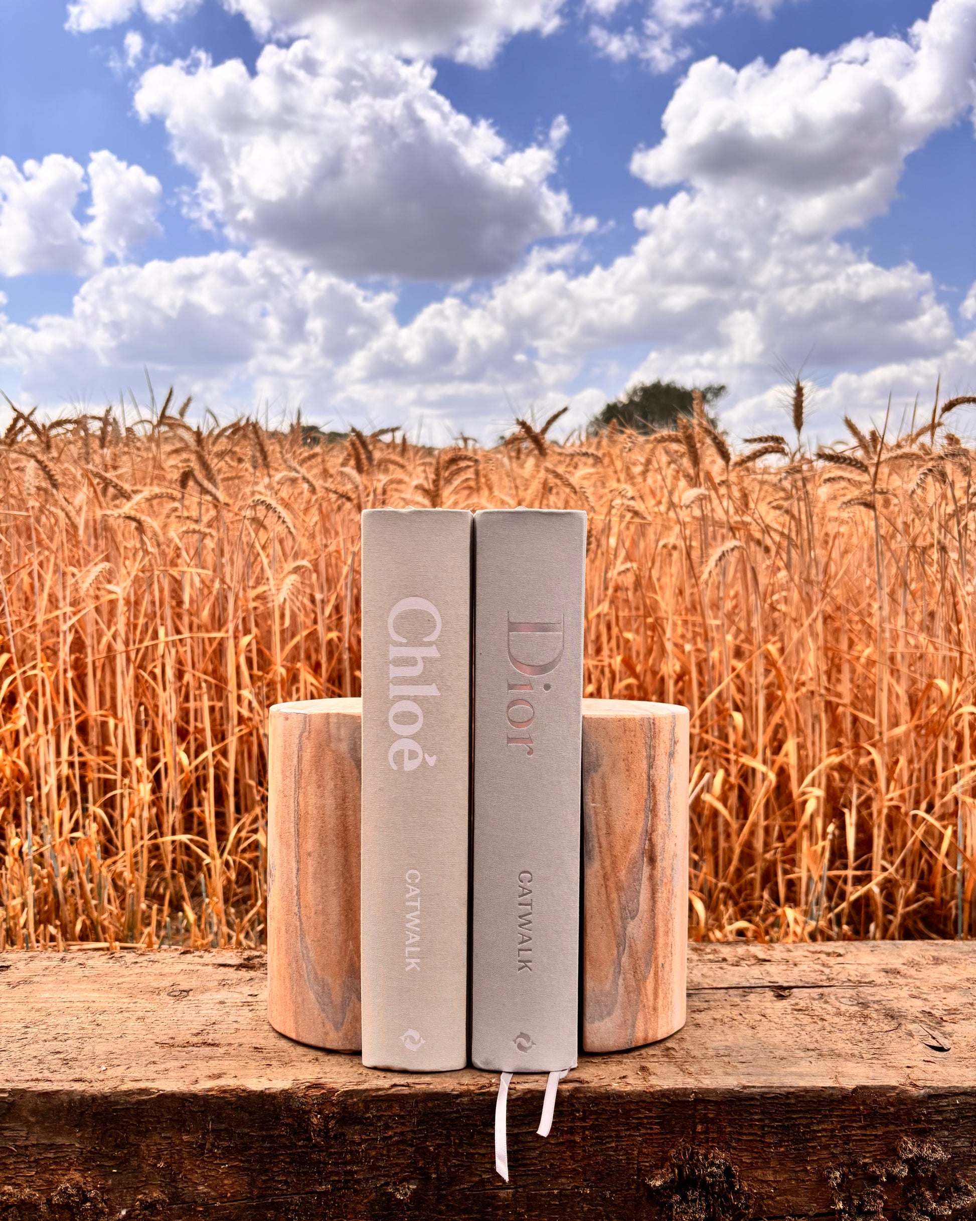 Natural sandstone bookends with rainbow patterns and swirls. Each set is entirely unique due to the natural origin of this stone. Styled with Dior Catwalk and Chloe Catwalk designer coffee table books. Available to purchase from Albury House Interiors, homewares and accessories in Essex. 