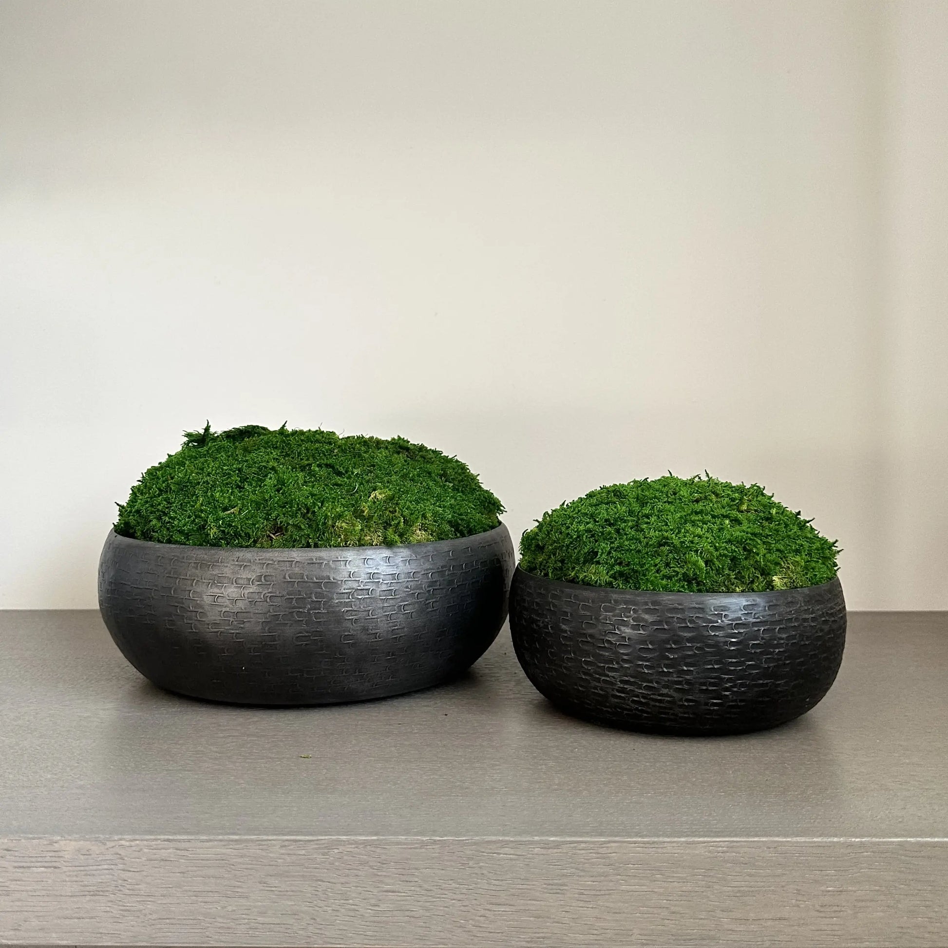 Graphite hammered effect bowls displaying green preserved natural moss which requires no upkeep. Used by interior designers. Available to purchase from Albury House Interiors.