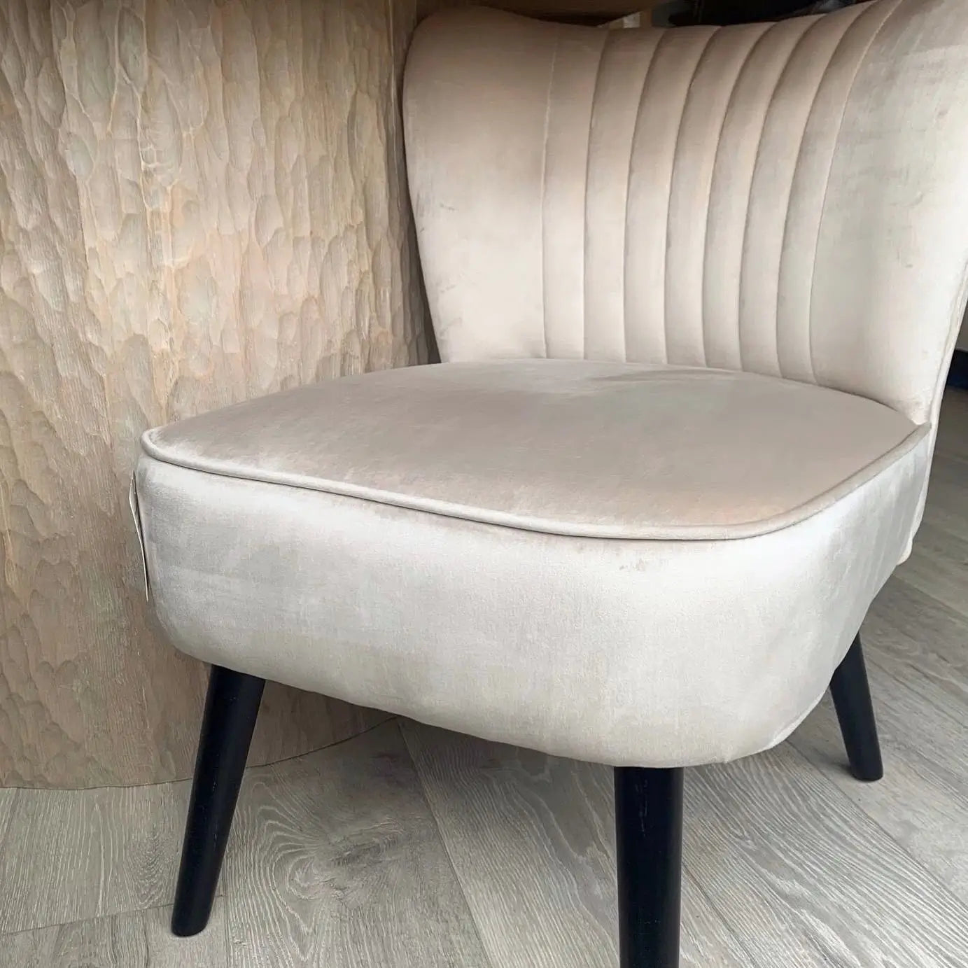 Sorrento plush cream velvet occasional chair with pleated detailing on backrest, matching cream piped edges and black wooden legs, at Albury House Interiors 