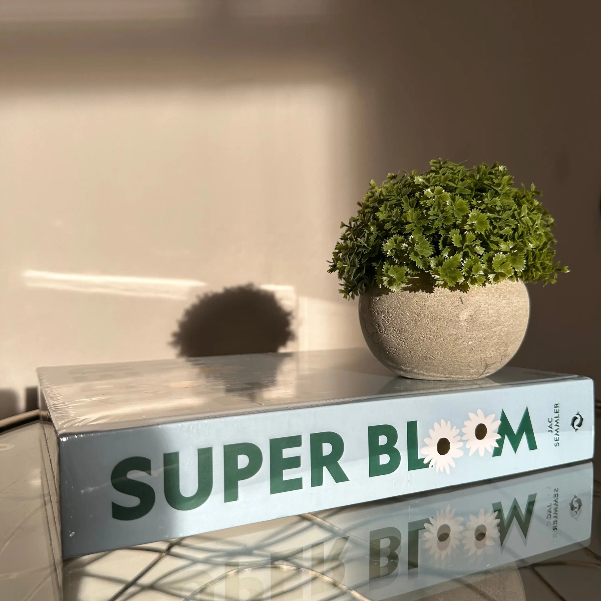 super-bloom-blue-gardening-flower-guide-coffee-table-book-with-faux-potted-herb-plant-at-albury-house-interiors-harlow-essex