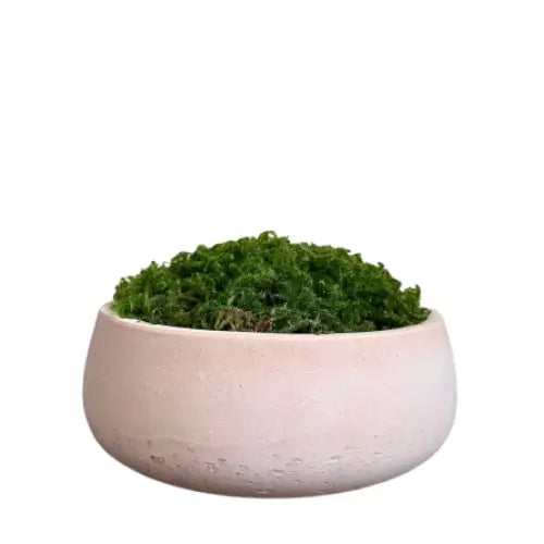 terracotta-coloured-distressed-bowl-filled-with-green-preserved-natural-moss-at-albury-house-interiors