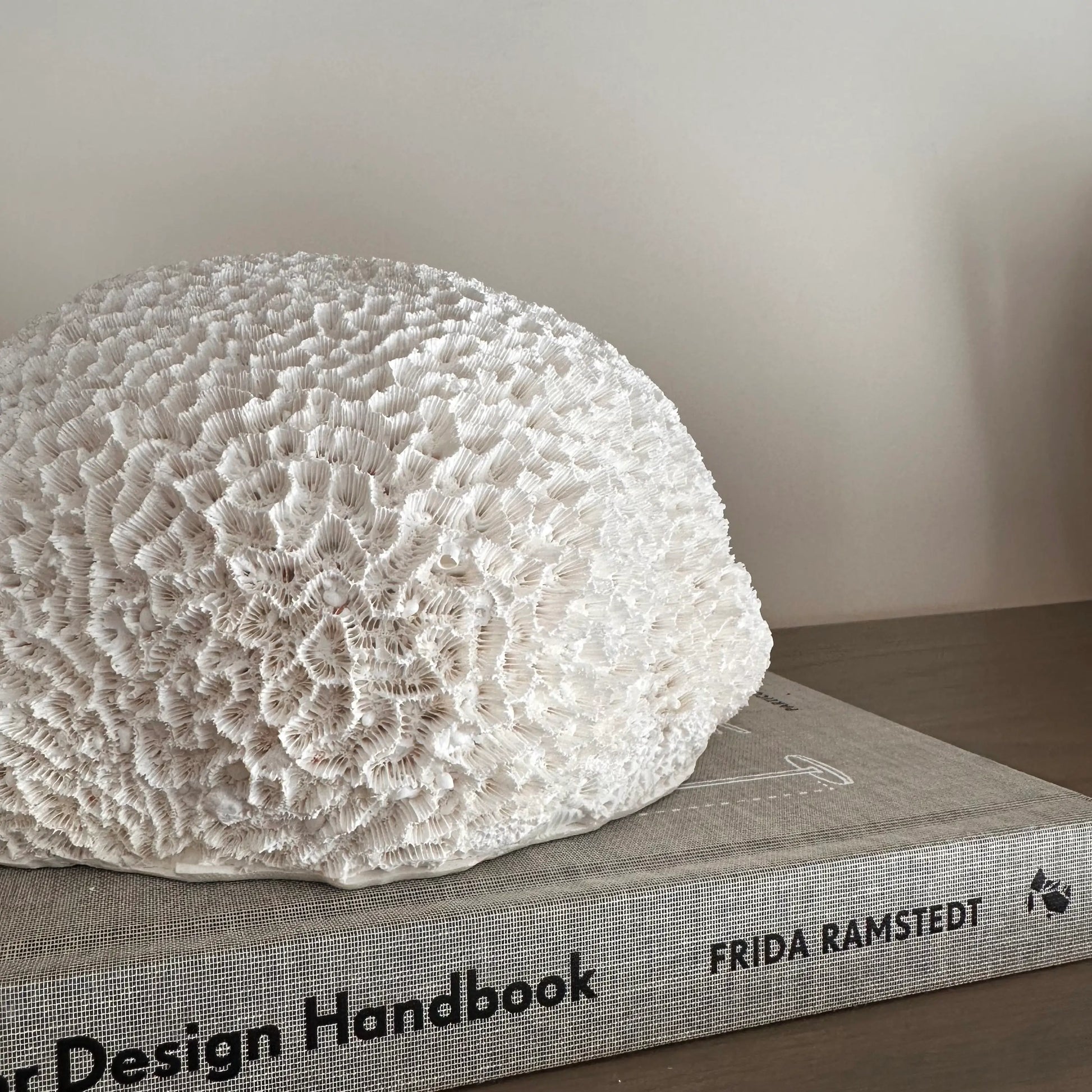 textured-nerina-faux-coral-on-top-of-interior-design-handbook-coffee-table-book-at-albury-house-interiors