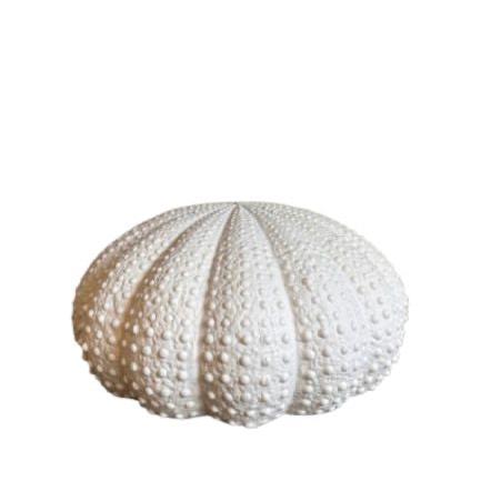 White Urchin Ornament