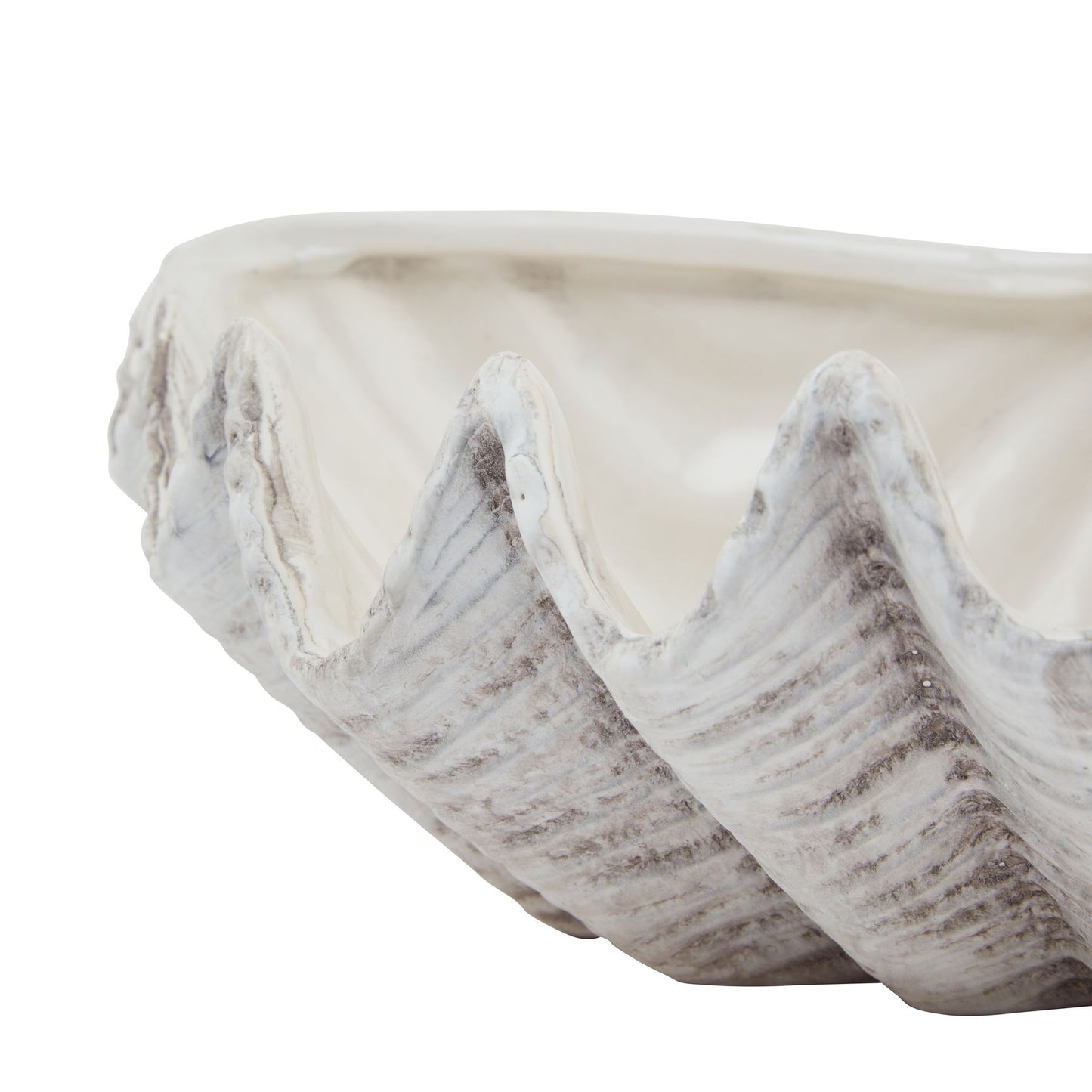 White Clam Shell Bowl