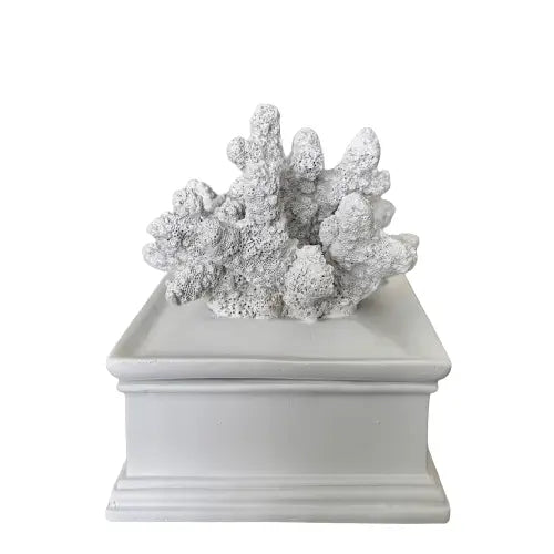 White lidded trinket box with beautiful faux coral placed on top, perfect for bedrooms and bathrooms, available to purchase at Albury House Interiors. Luxury homewares in the UK.