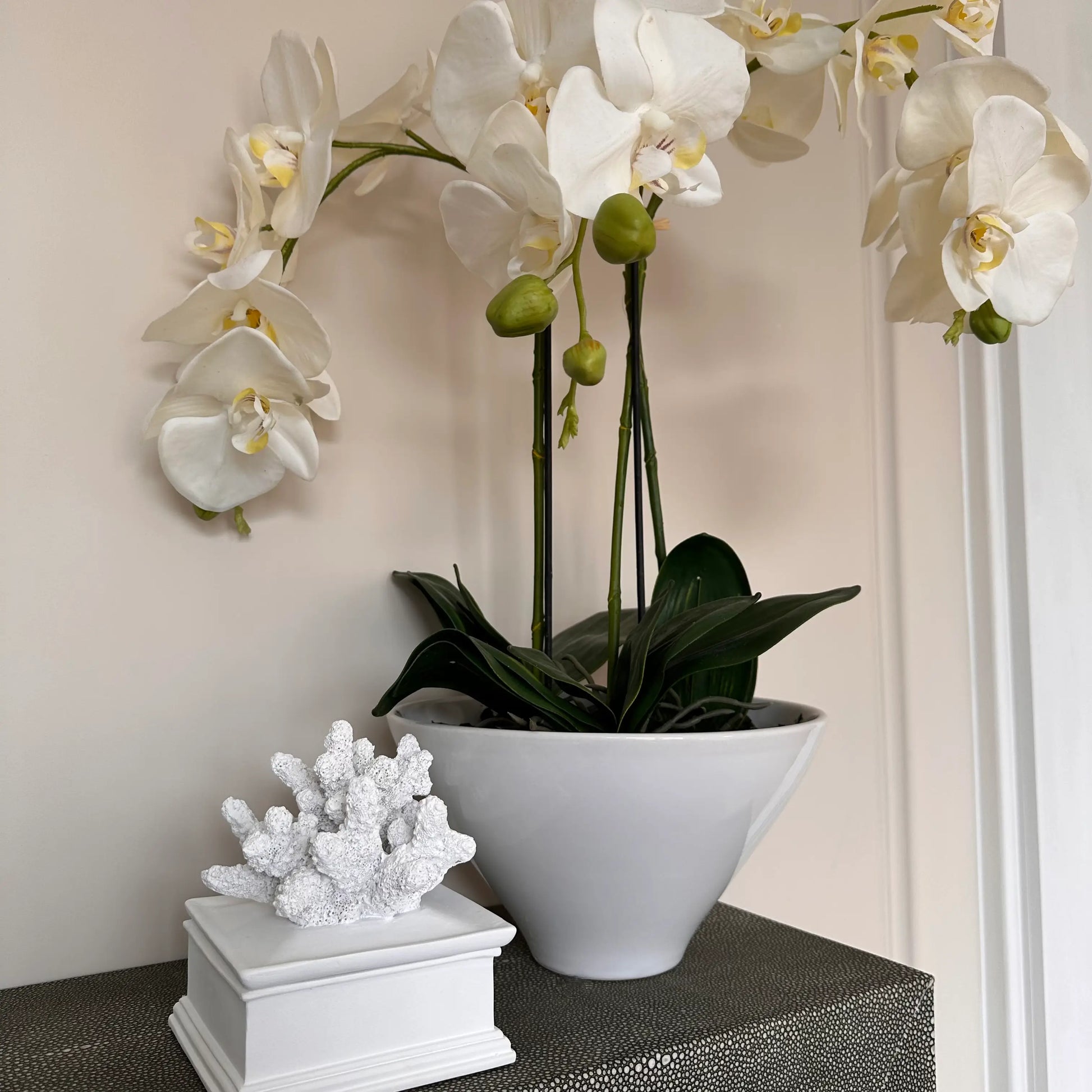 White lidded trinket box with beautiful faux coral placed on top, perfect for bedrooms and bathrooms, styled with a white potted faux orchid. Available to purchase at Albury House Interiors. Luxury homewares in the UK.