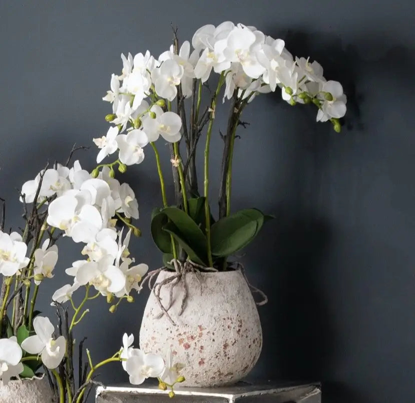 White faux realistic orchid flower in antique stone rustic pot, available to purchase from Albury House Interiors.