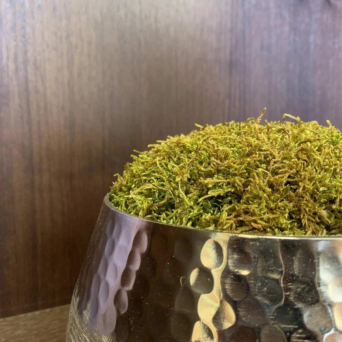 zhurie-hammered-and-brushed-chrome-silver-bowl-with-green-preserved-moss-at-albury-house-interiors-essex