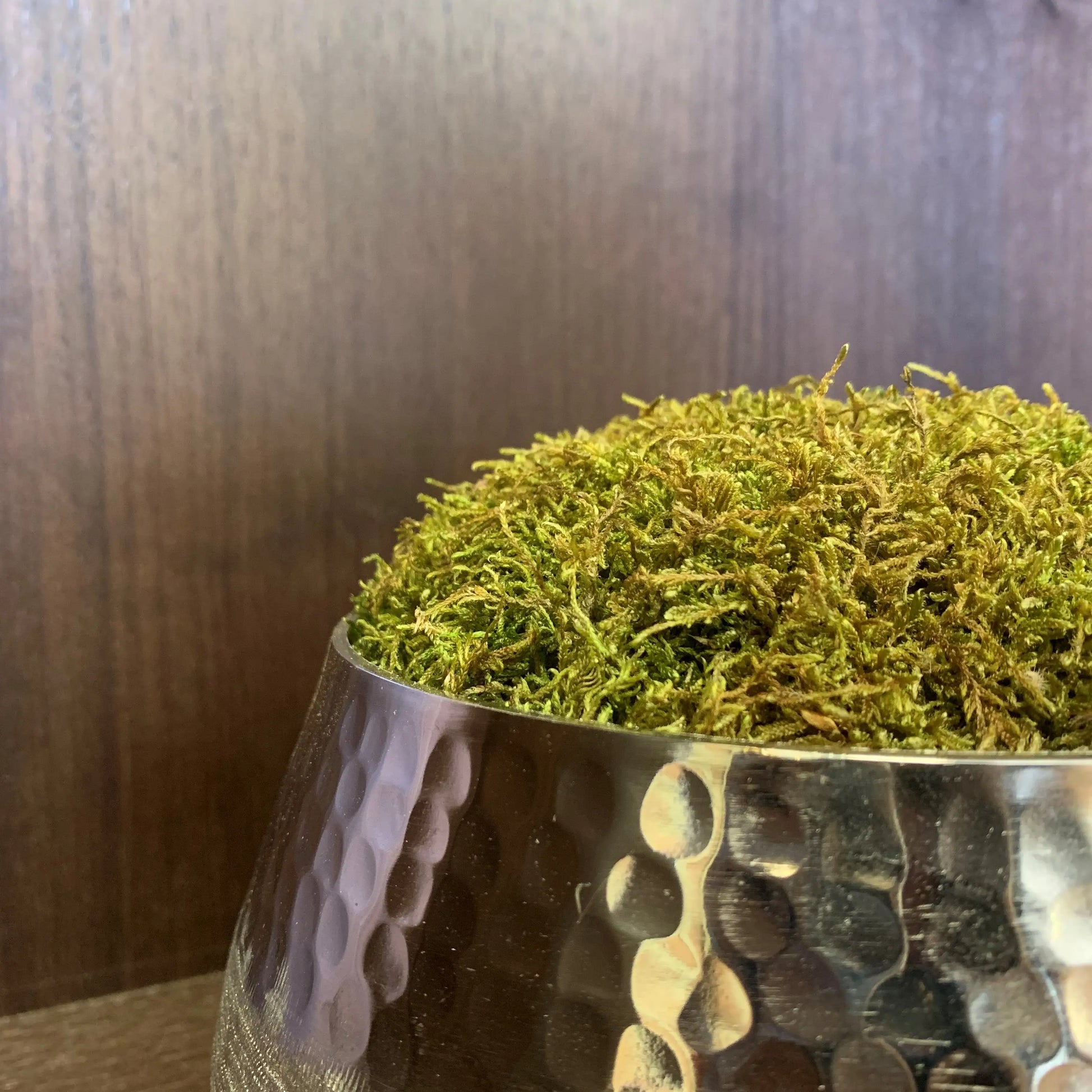 zhurie-hammered-and-brushed-chrome-silver-bowl-with-green-preserved-moss-at-albury-house-interiors-essex